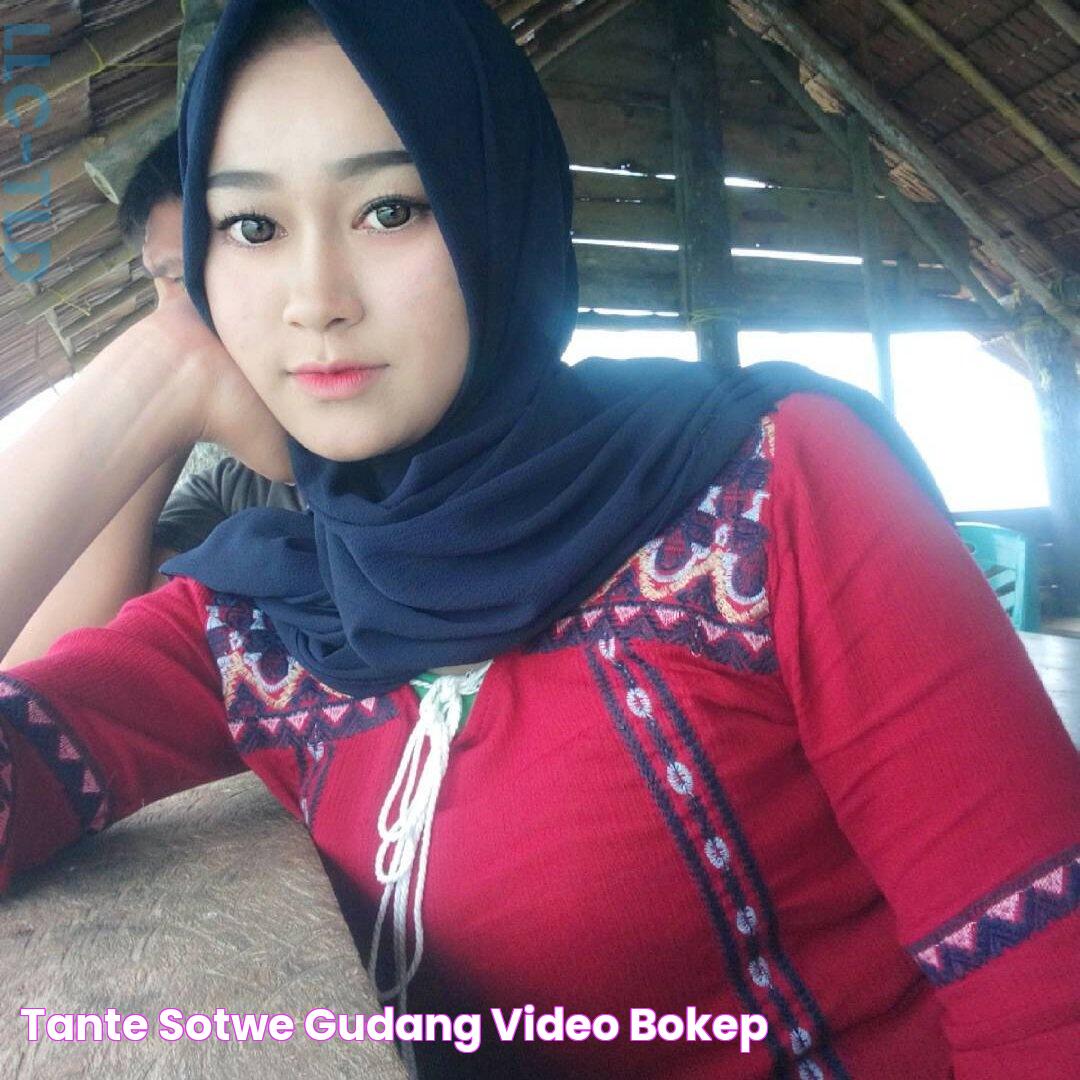 Tante Sotwe Gudang Video Bokep