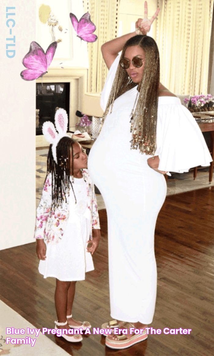 Blue Ivy Pregnant A New Era For The Carter Family?