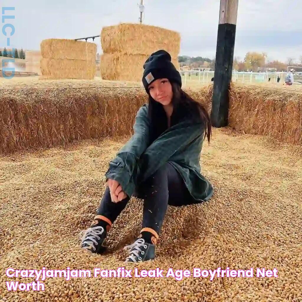 Crazyjamjam Fanfix Leak Age, Boyfriend, Net Worth