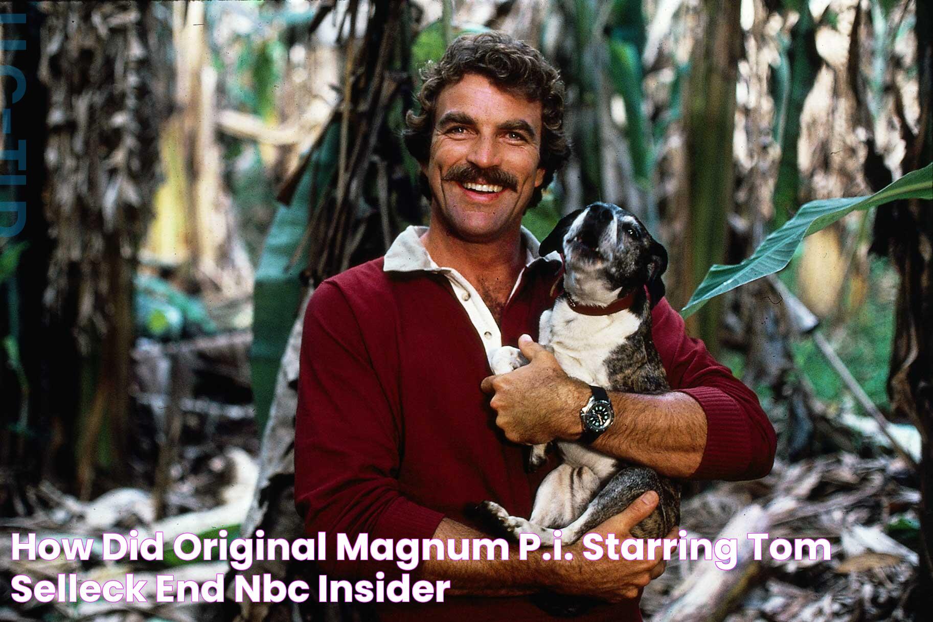 How Did Original Magnum P.I. Starring Tom Selleck End? NBC Insider