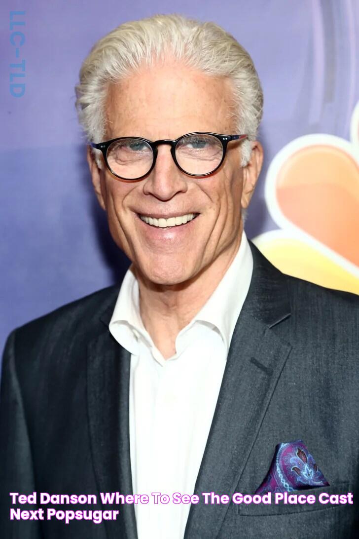 Ted Danson Where to See The Good Place Cast Next POPSUGAR