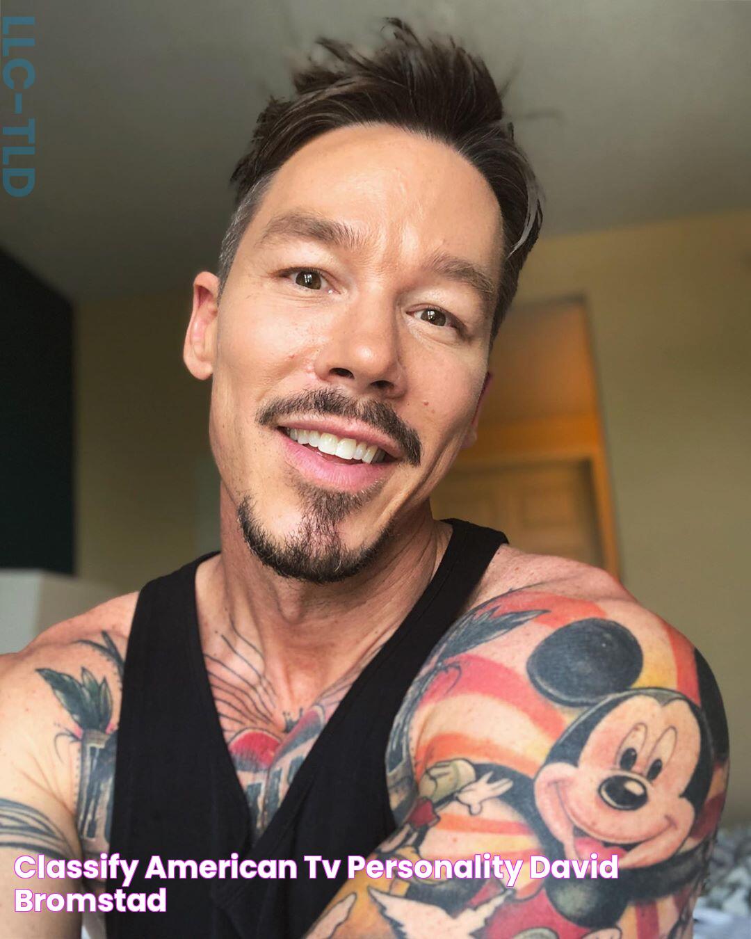 Classify American TV personality David Bromstad