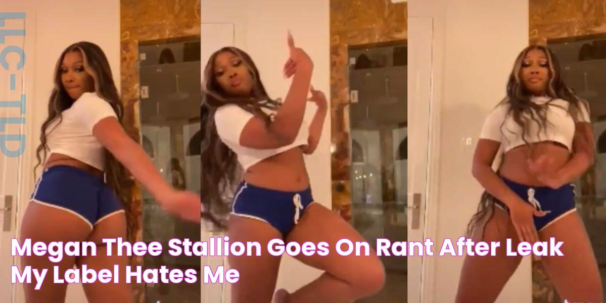 Megan Thee Stallion Goes On Rant After Leak My Label Hates Me