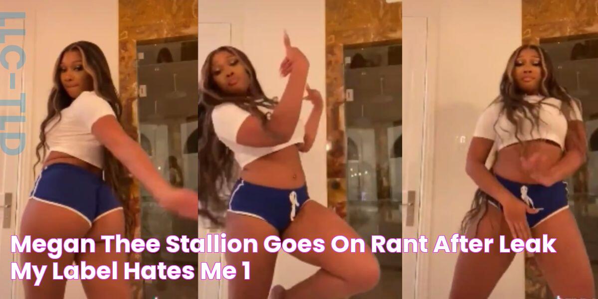 Megan Thee Stallion Goes On Rant After Leak My Label Hates Me