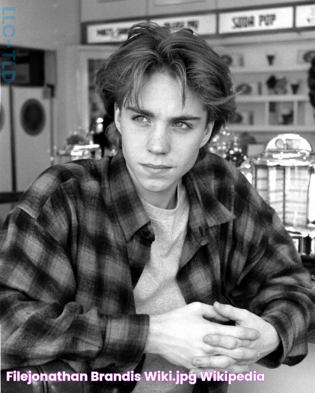 FileJonathan Brandis Wiki.jpg Wikipedia