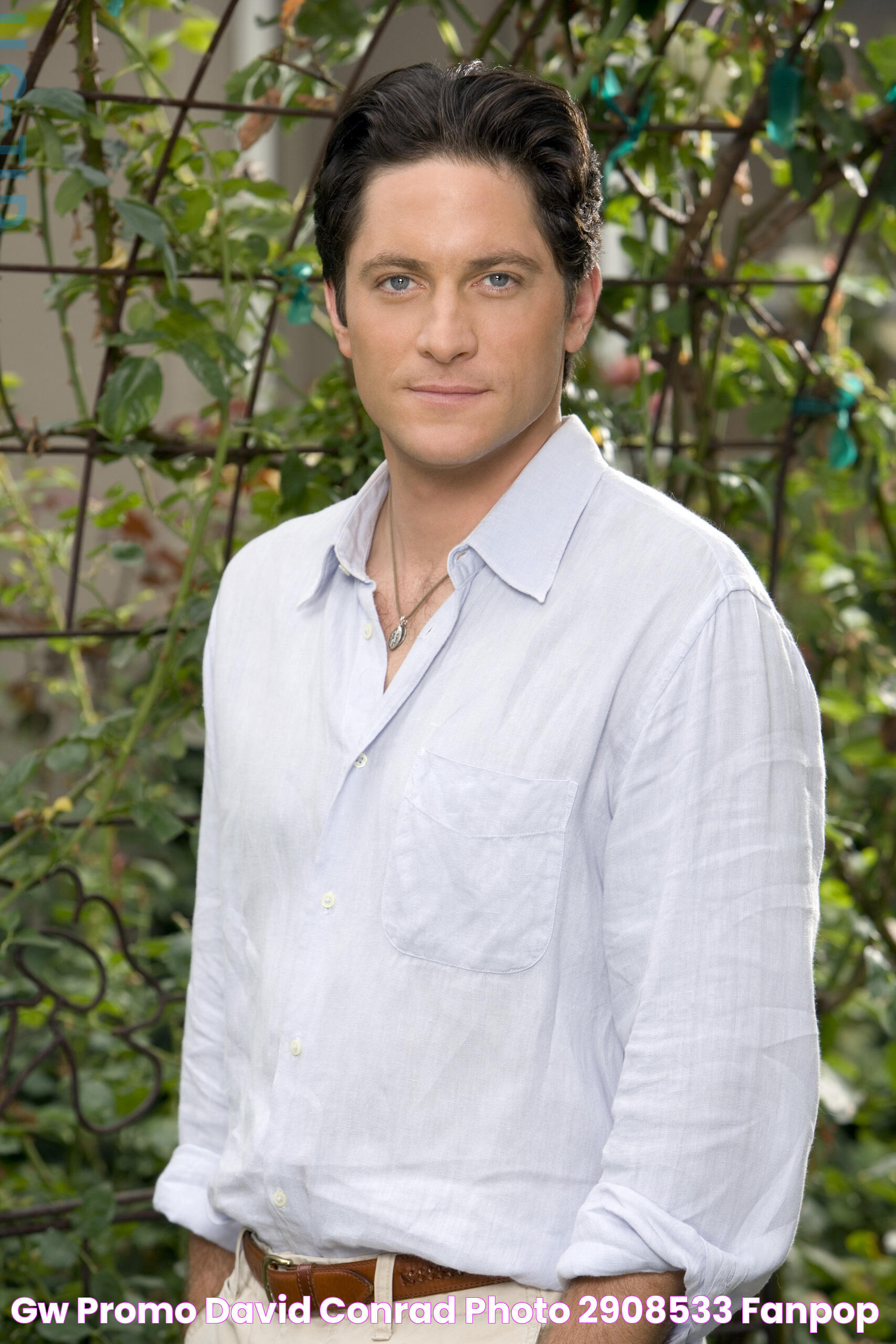 The Ultimate Guide To David Conrad: His Career And Notable Roles