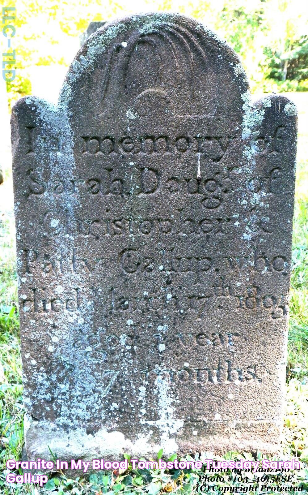 Granite in My Blood Tombstone Tuesday Sarah GALLUP