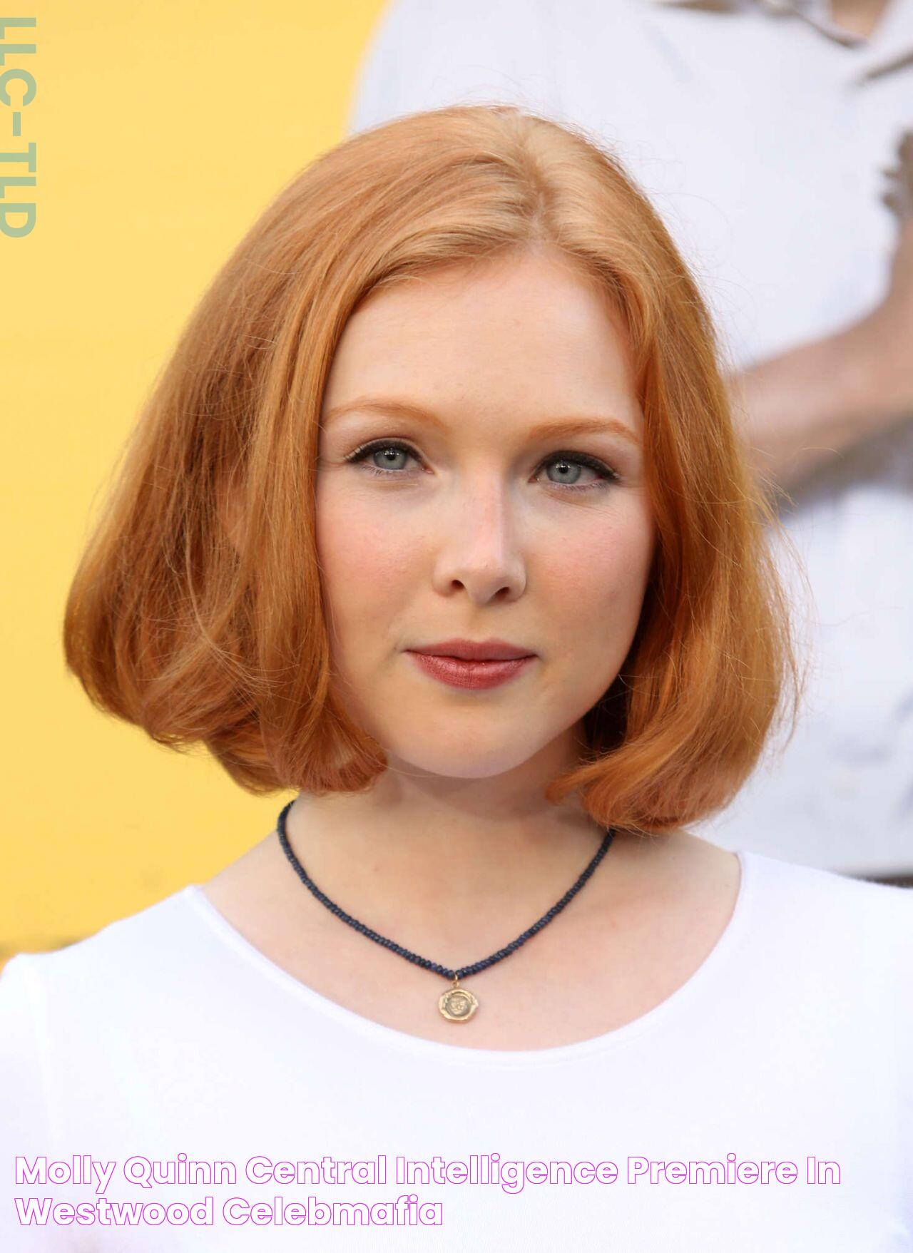 Molly Quinn 'Central Intelligence' Premiere in Westwood • CelebMafia