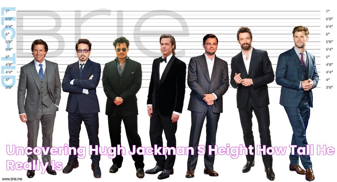 Uncovering Hugh Jackman's Height How Tall He Really Is