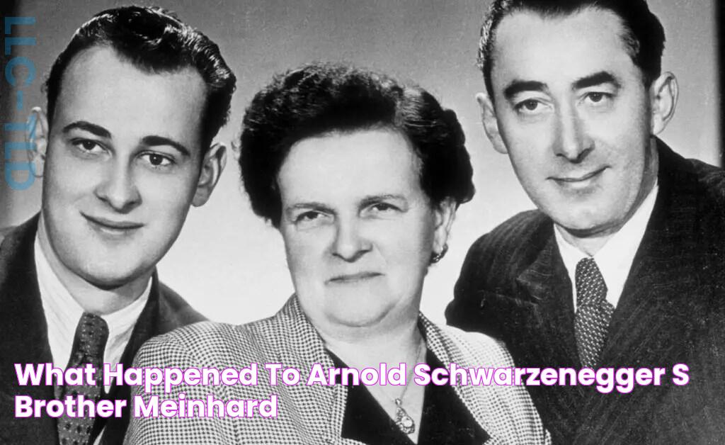 What Happened to Arnold Schwarzenegger's Brother Meinhard?