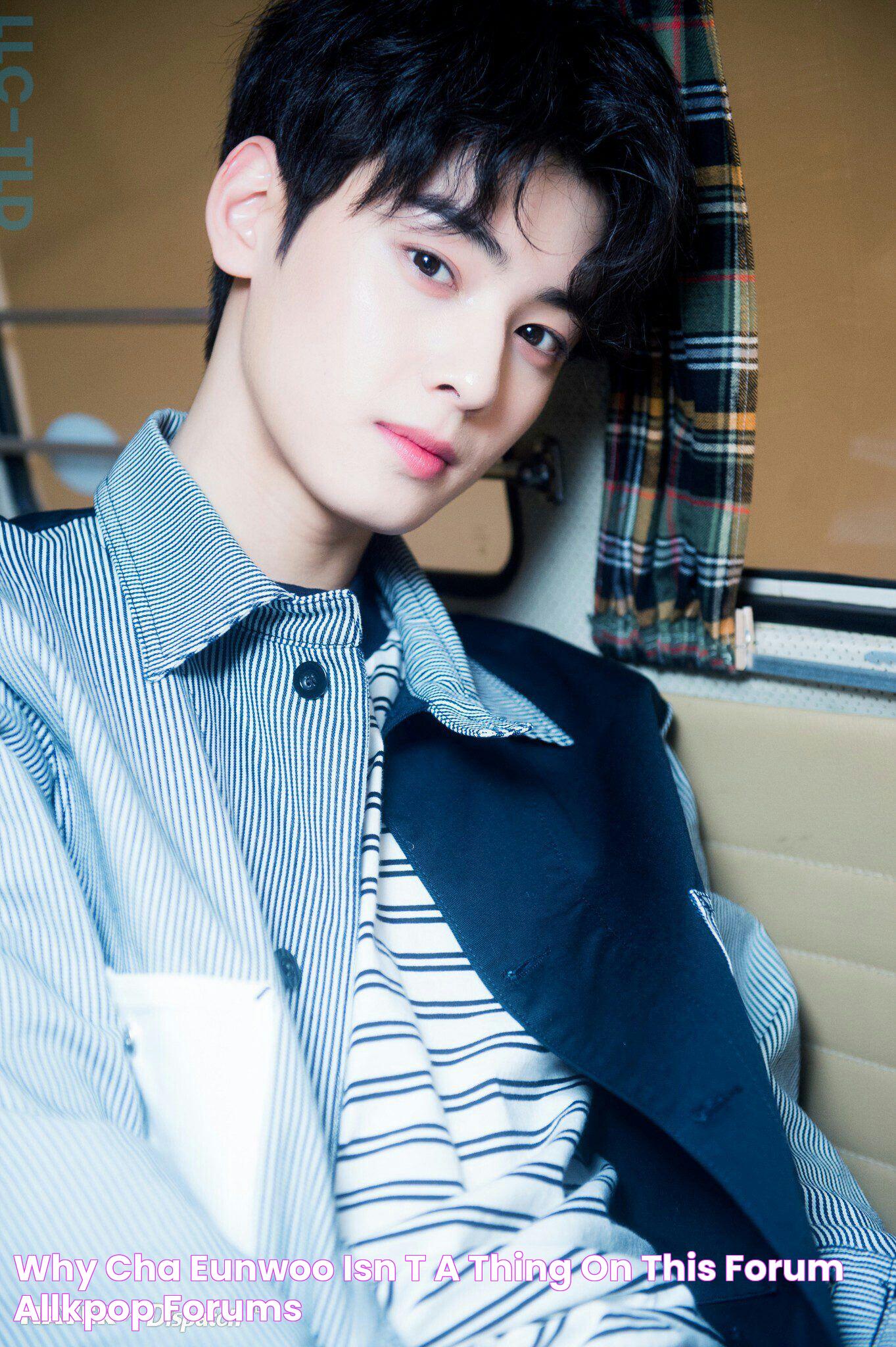 The Irresistible Charm Of Cha Eun-Woo: A Star Uncovered