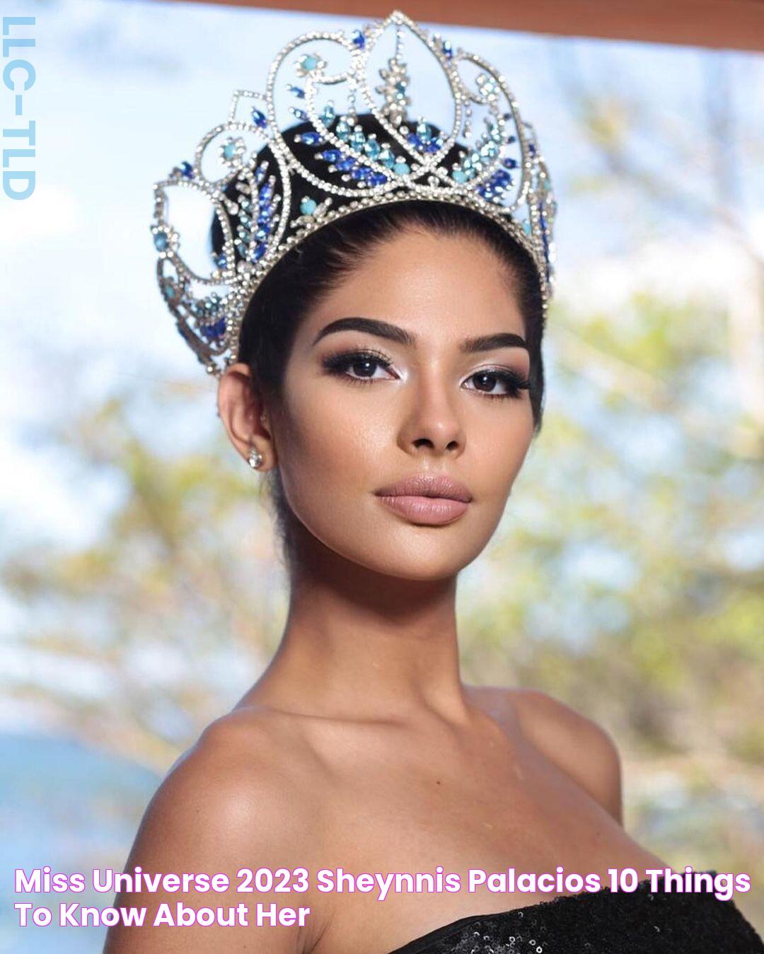 Miss Universe 2023 Sheynnis Palacios 10 Things To Know About Her