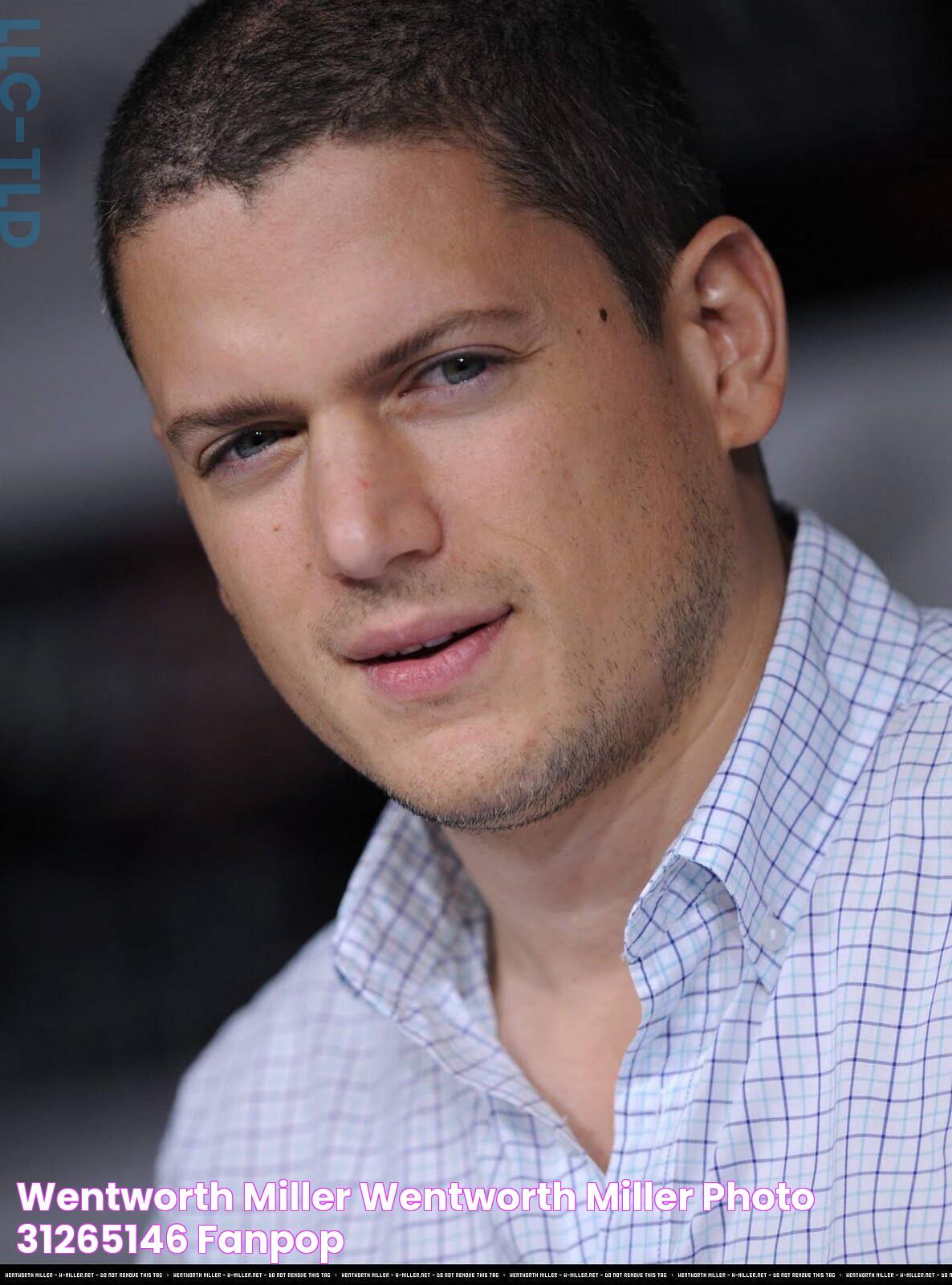 wentworth miller Wentworth Miller Photo (31265146) Fanpop