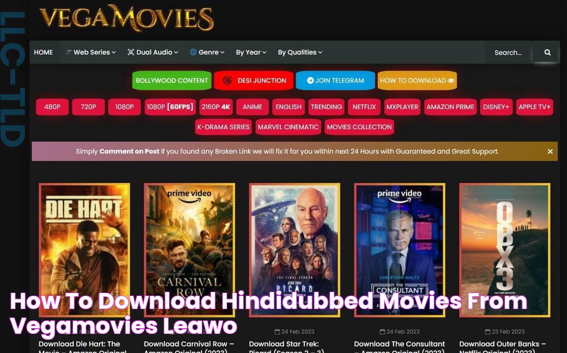 How to Download HindiDubbed Movies from VegaMovies? Leawo