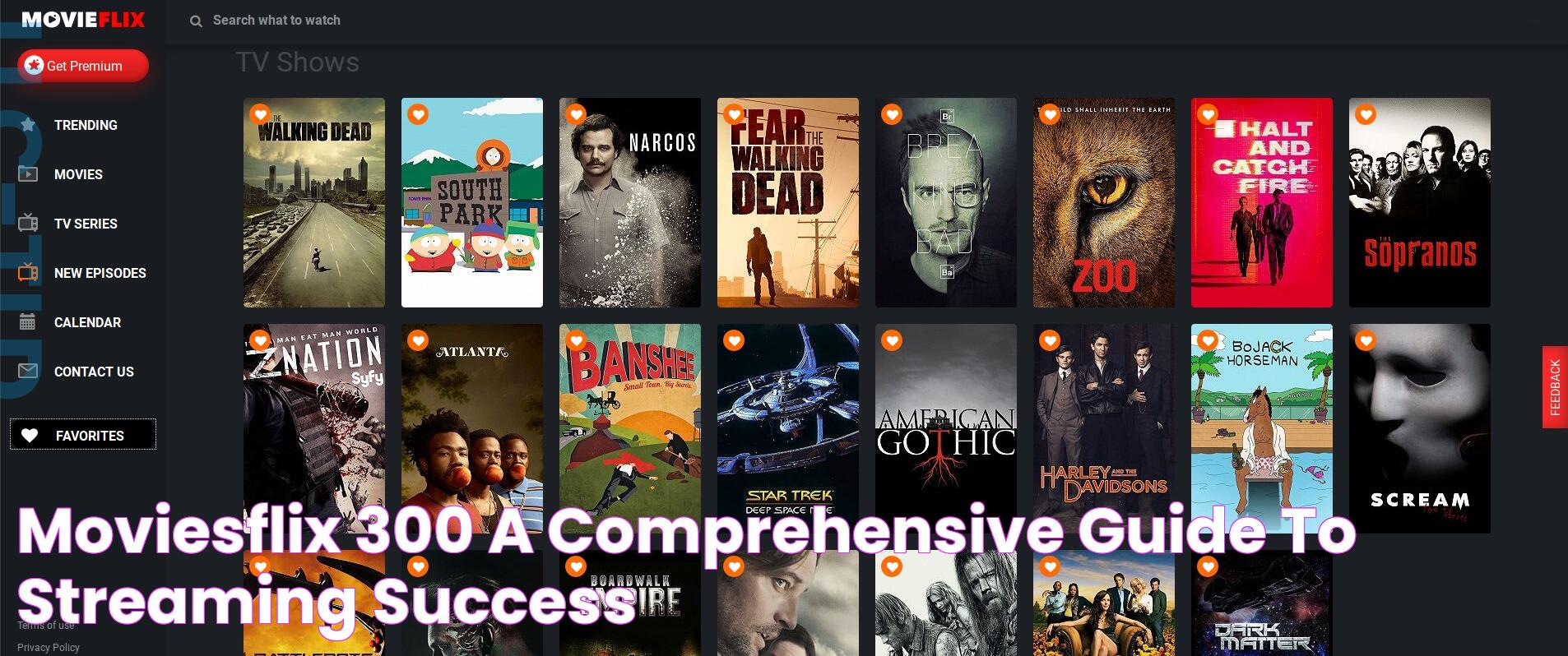 Moviesflix 300 A Comprehensive Guide To Streaming Success