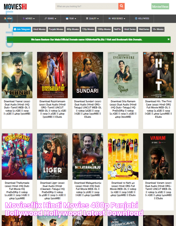 Moviesflix Hindi Movies 480p Punjabi Bollywood Hollywood Latest Download