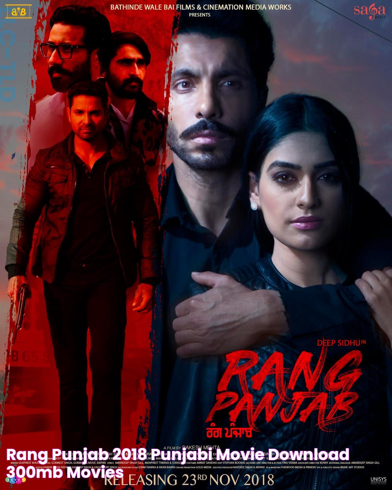 Rang Punjab 2018 Punjabi movie Download 300mb movies