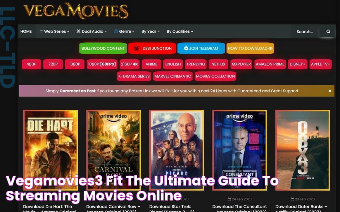 Discover The Best Entertainment With Vegamovies3