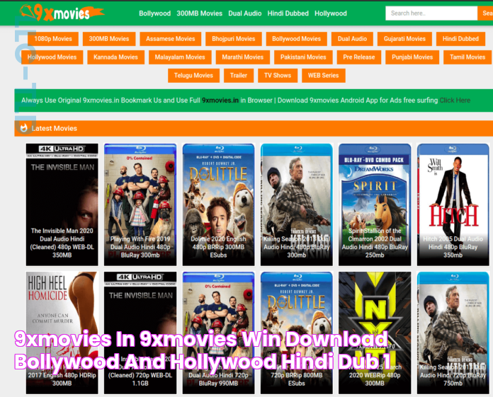 9xmovies in 9xmovies win download Bollywood and Hollywood Hindi Dub