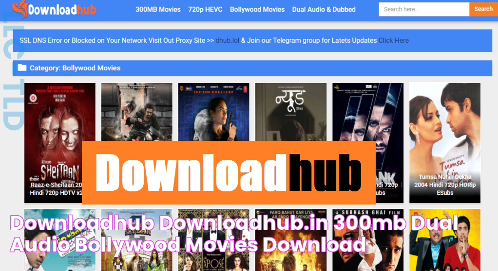 Downloadhub Downloadhub.in 300MB Dual Audio Bollywood Movies Download