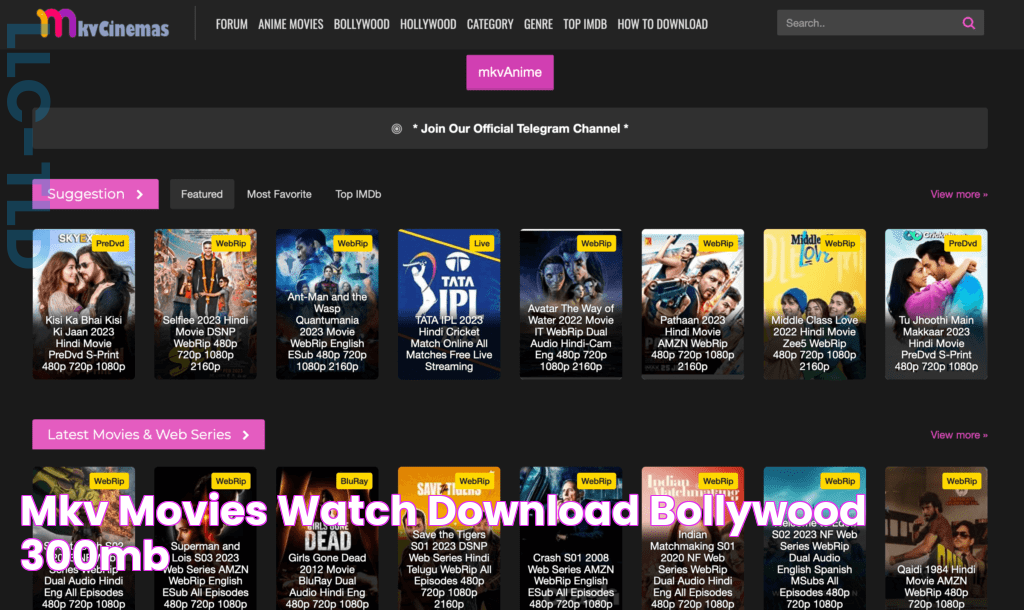 MKV Movies 🎬 Watch & Download Bollywood 300MB