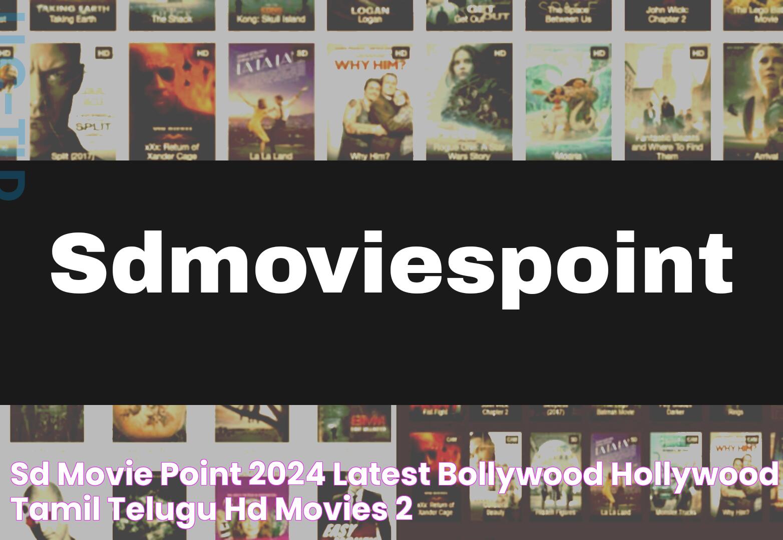 SD Movie Point 2024 Latest Bollywood, Hollywood, Tamil, Telugu HD Movies