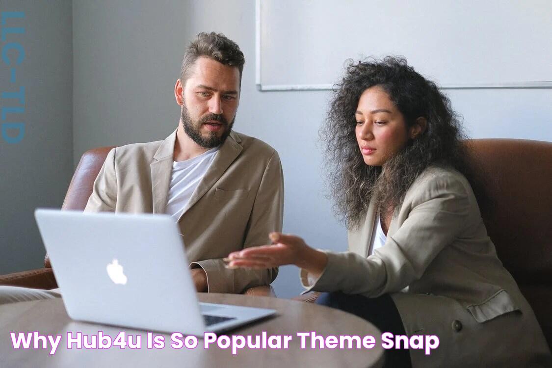 Why Hub4u is So Popular Theme Snap