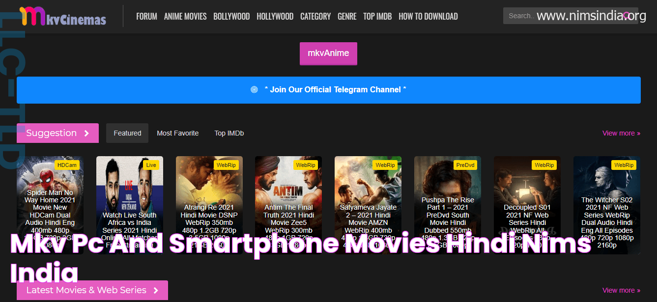 Explore The World Of Movies With MKVCinema