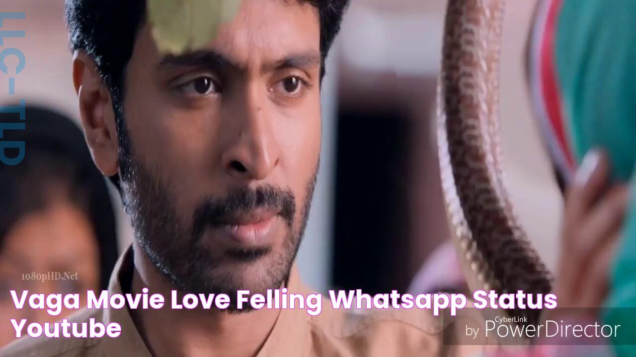 vaga movie love felling Whatsapp status YouTube