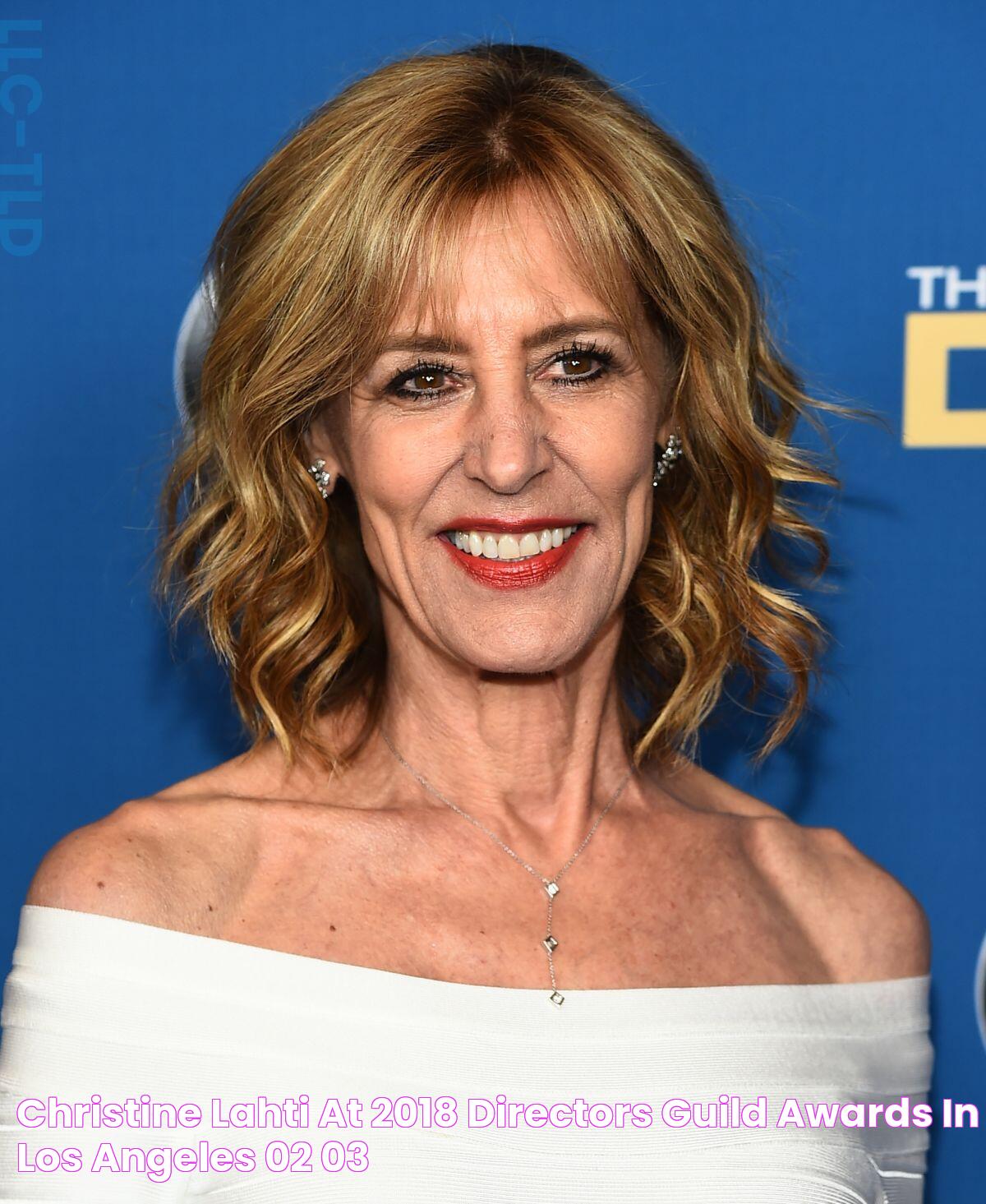 CHRISTINE LAHTI at 2018 Directors Guild Awards in Los Angeles 02/03