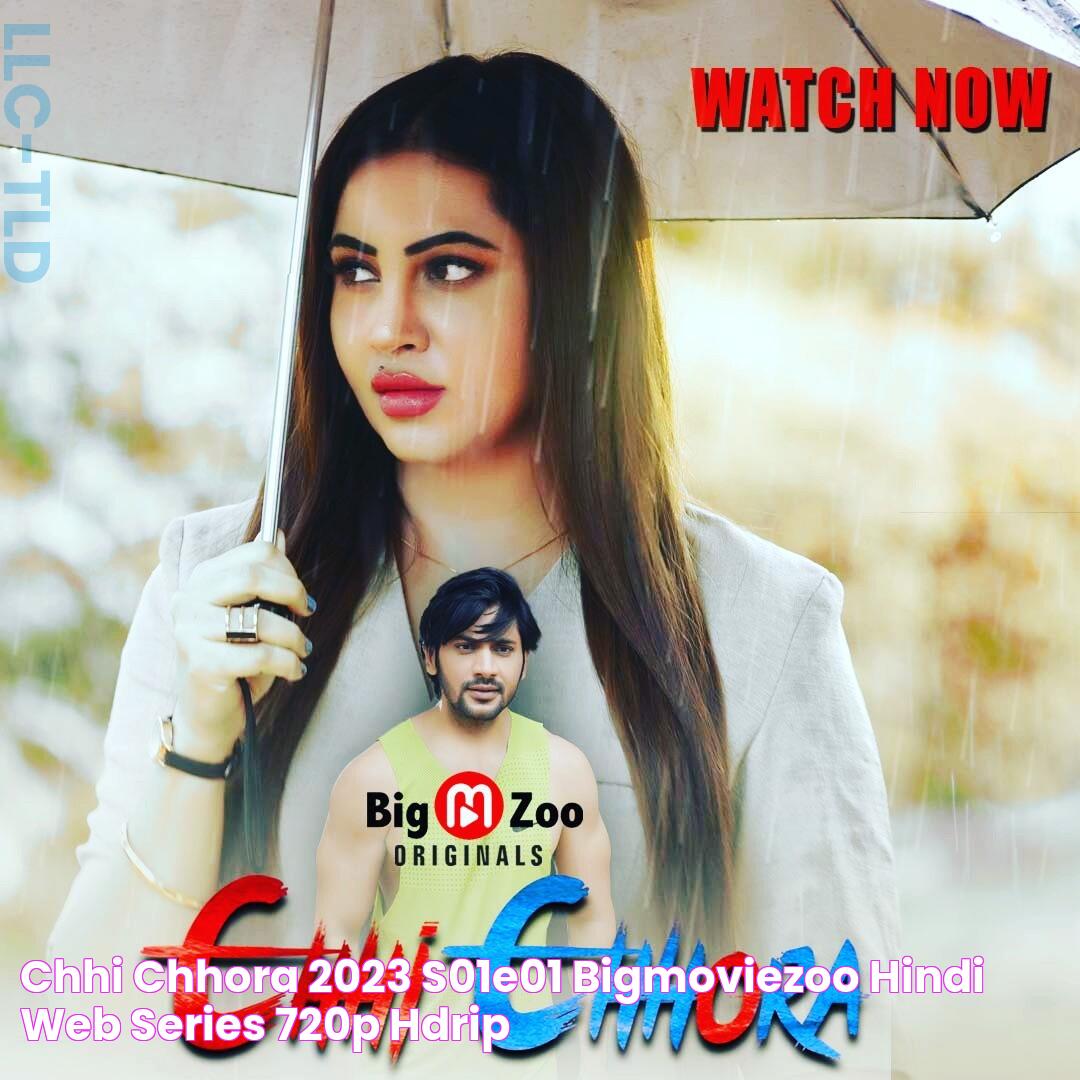 Chhi Chhora 2023 S01E01 BigMovieZoo Hindi Web Series 720p HDRip