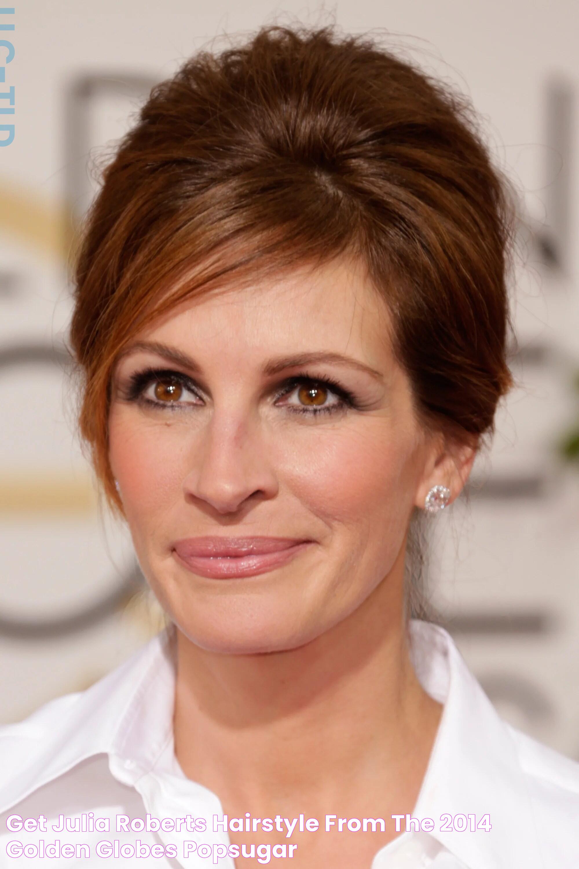 Get Julia Roberts Hairstyle From the 2014 Golden Globes POPSUGAR