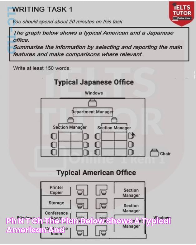 Phân tích "The plan below shows a typical American and