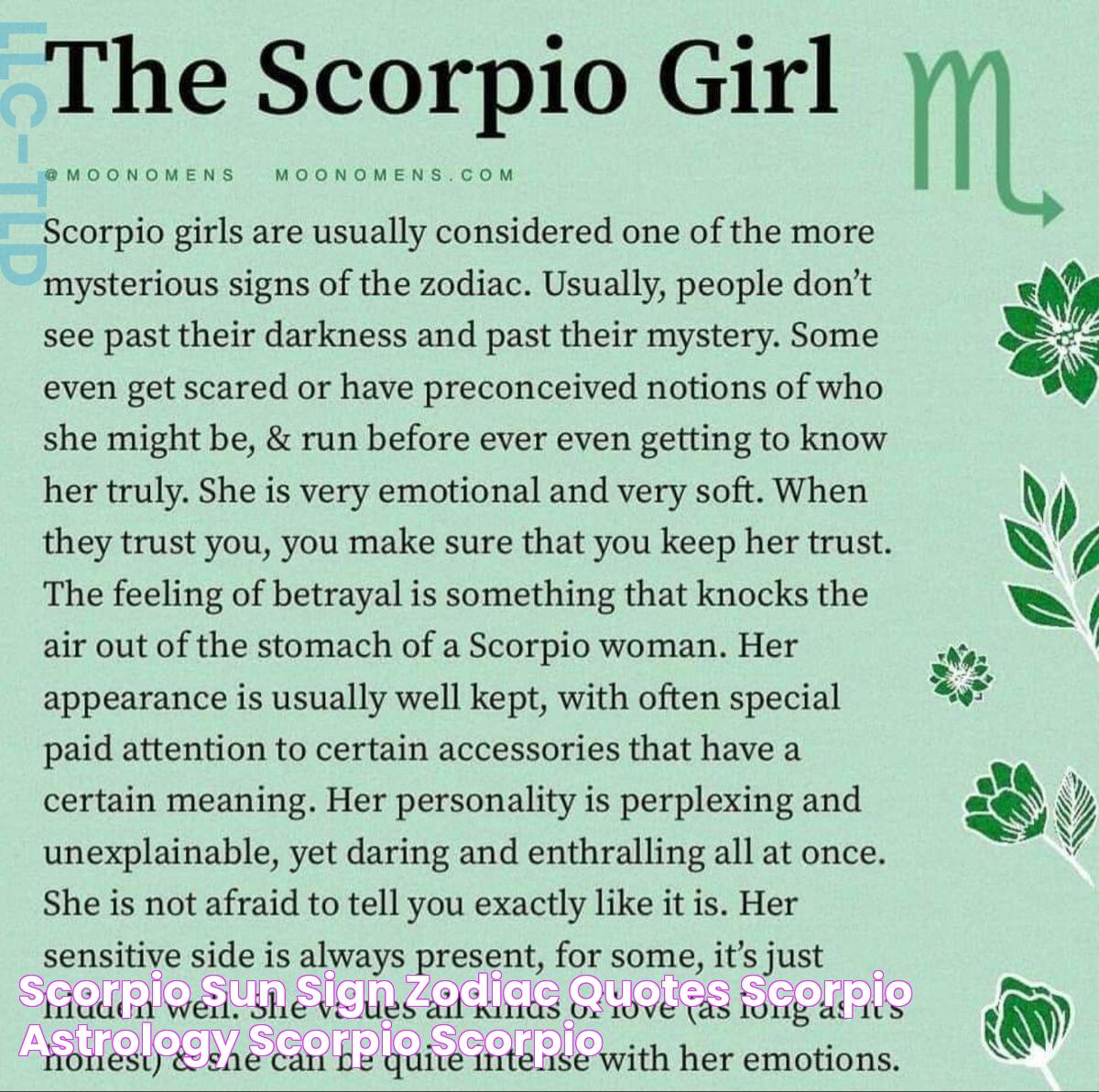 Scorpio Sun Sign, Zodiac Quotes Scorpio, Astrology Scorpio, Scorpio