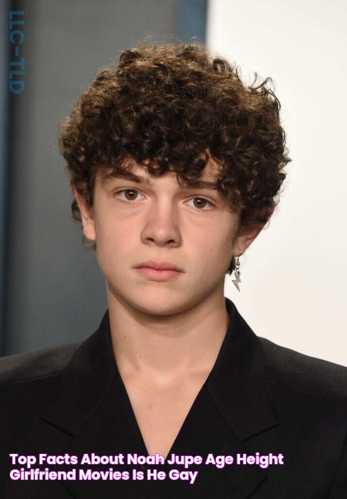 Top facts about Noah Jupe Age, height, girlfriend, movies, is he gay