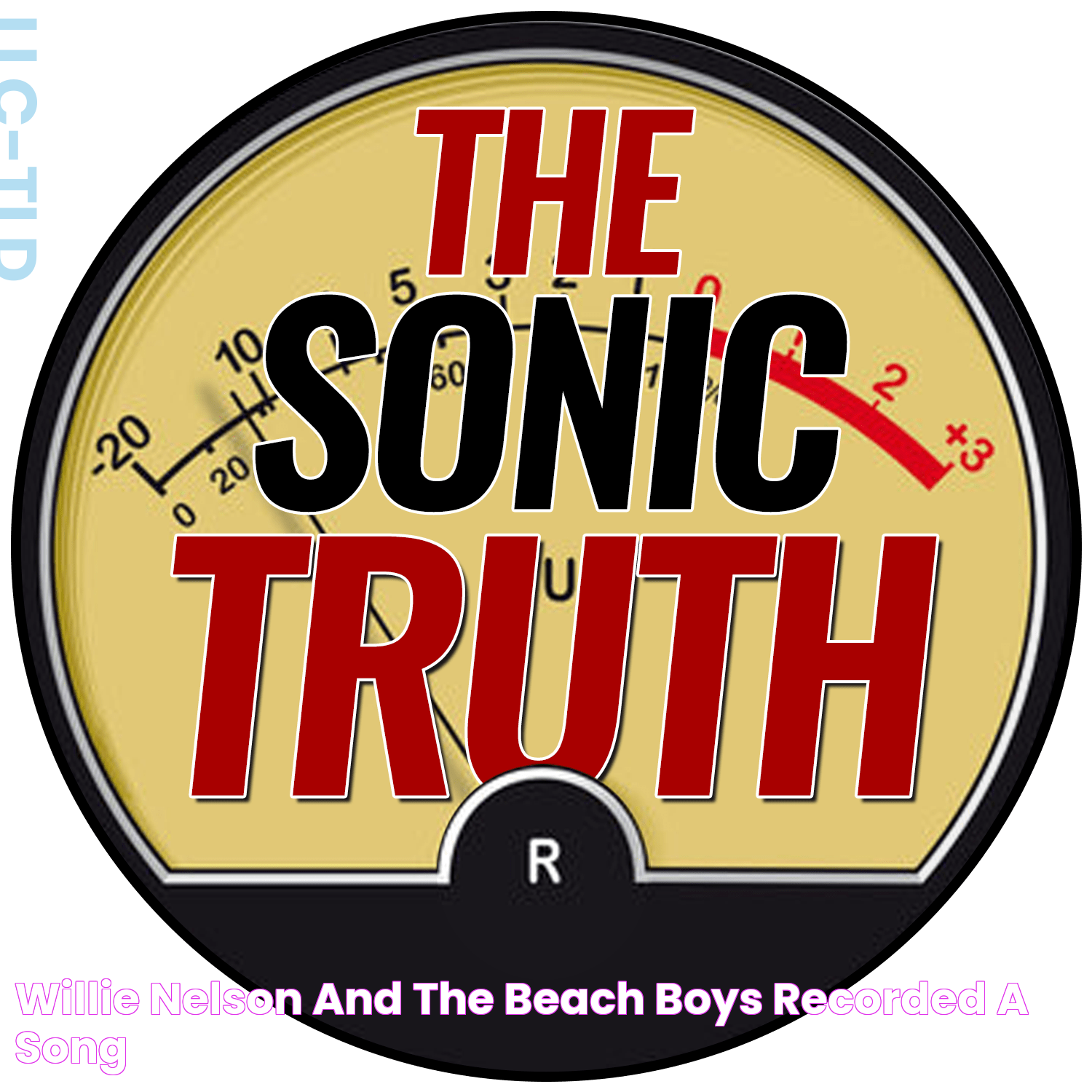 Willie Nelson And The Beach Boys Recorded A Song?