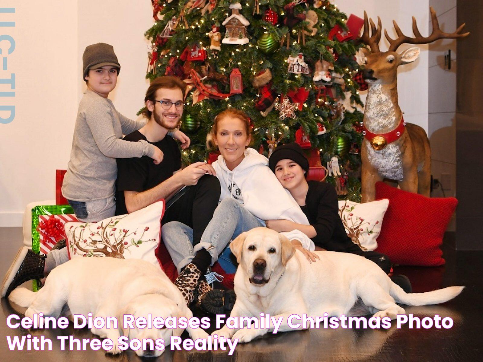 Celine Dion releases family Christmas photo with three sons Reality