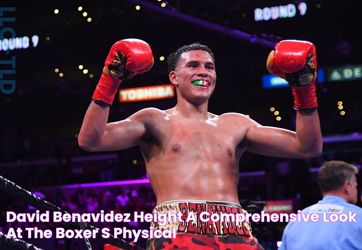 David Benavidez Height A Comprehensive Look At The Boxer’s Physical