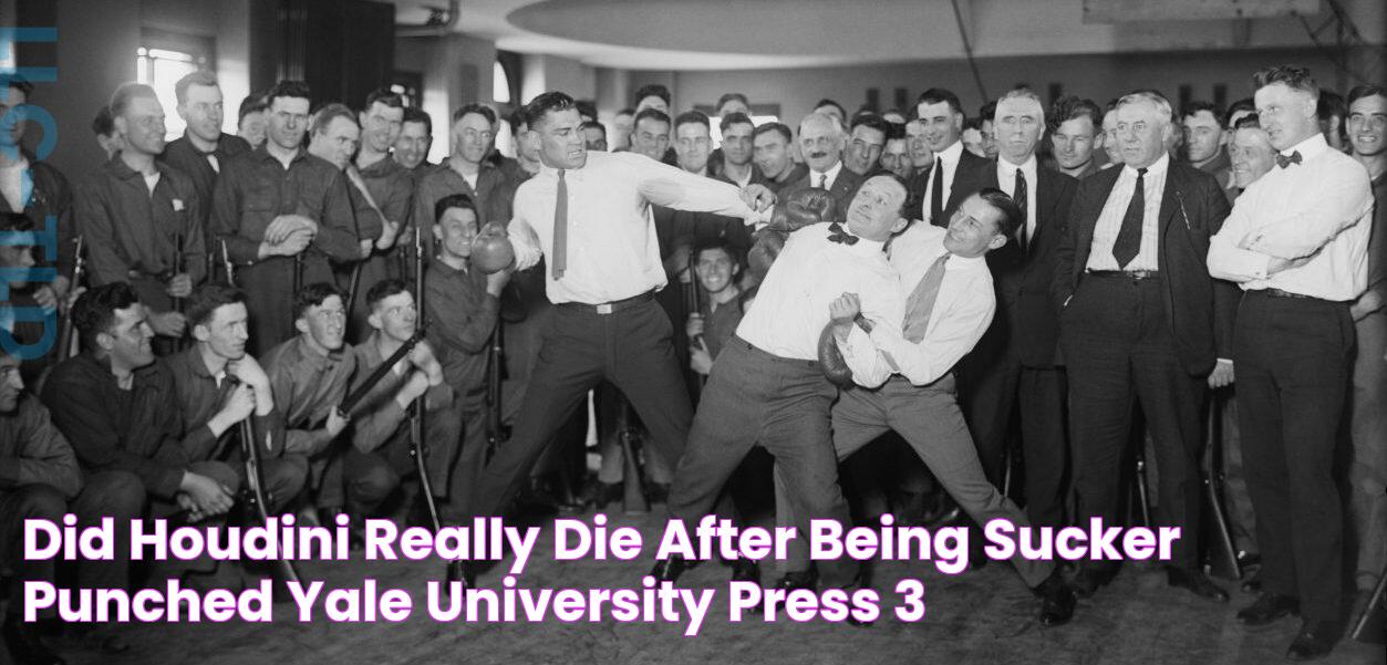 Did Houdini Really Die after Being Sucker Punched? Yale University Press