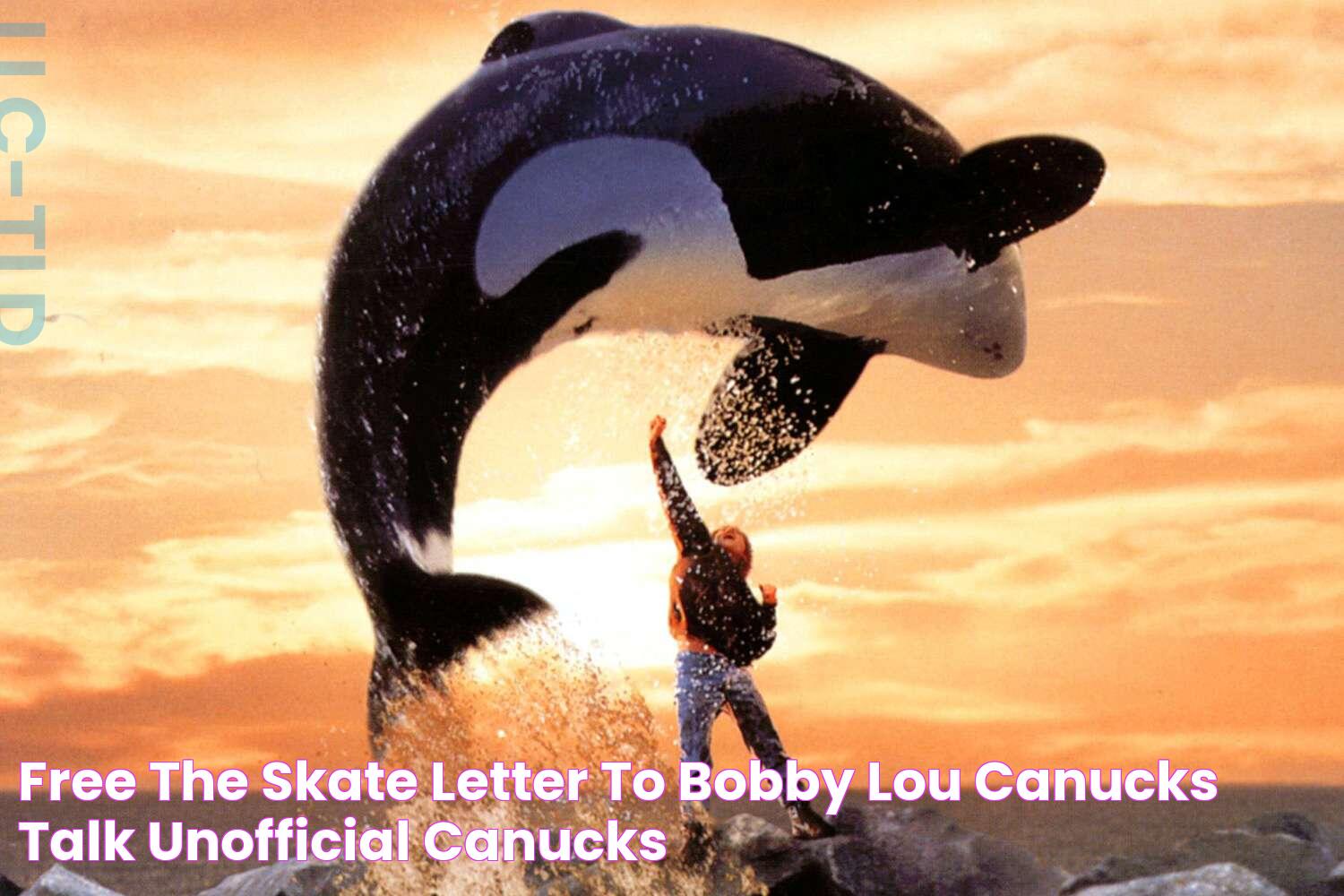 Free The Skate Letter to Bobby Lou Canucks Talk Unofficial Canucks