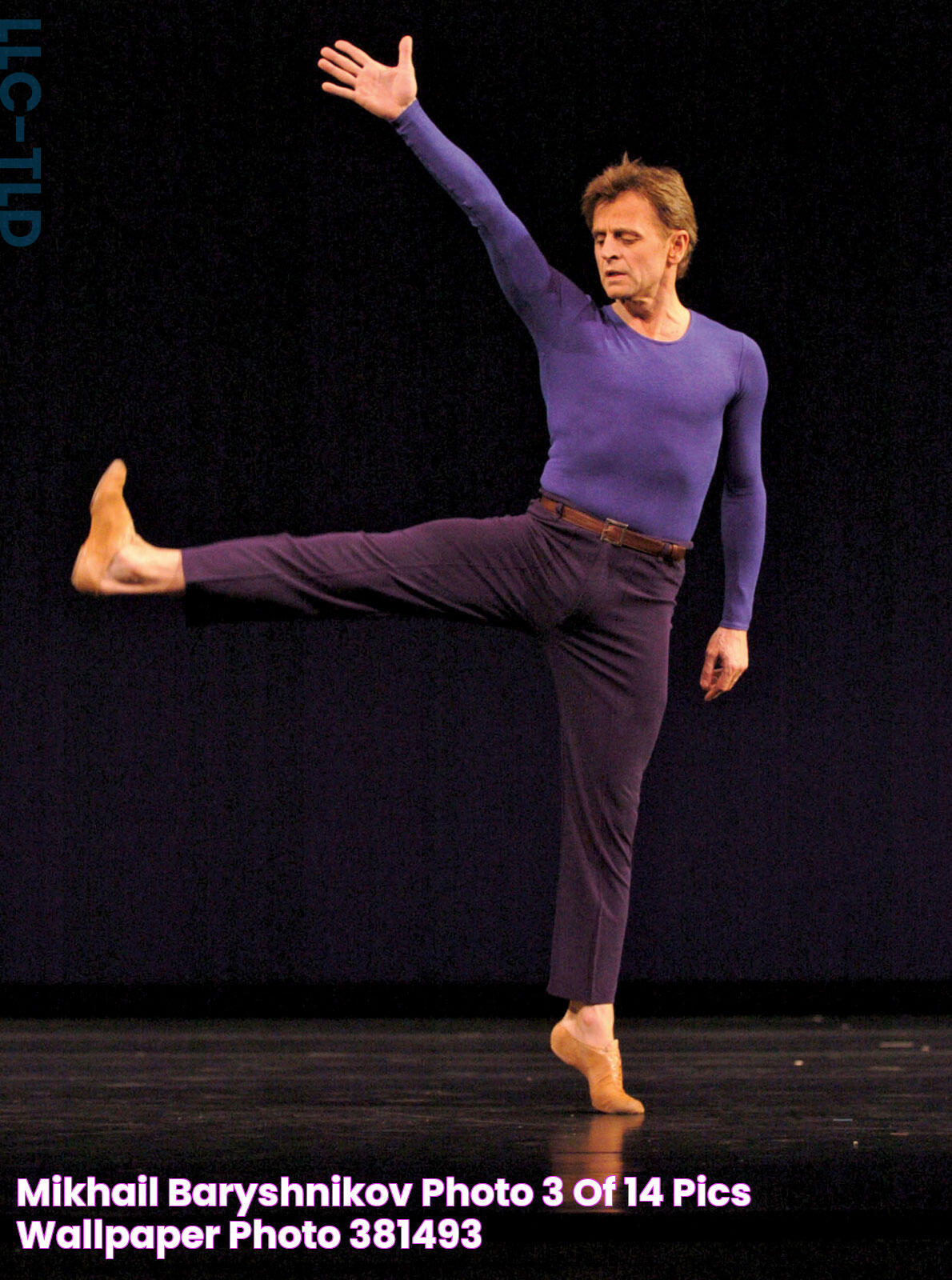 Mikhail Baryshnikov photo 3 of 14 pics, wallpaper photo 381493