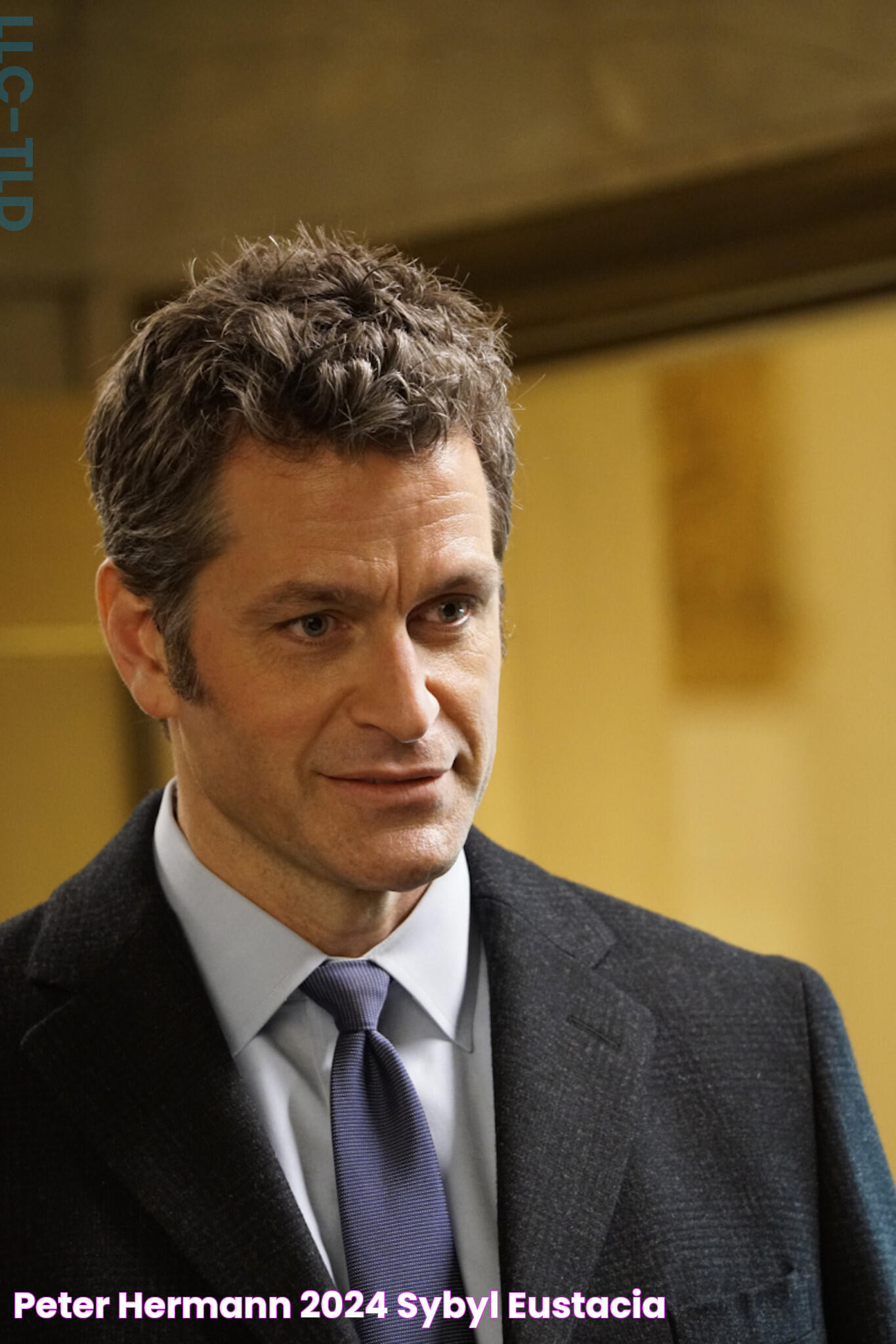 Meet Peter Hermann: The Multifaceted Actor