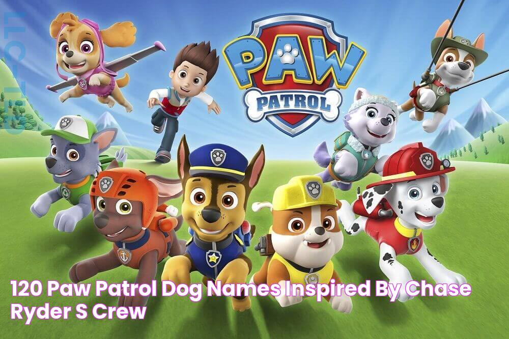 All About Paw Patrol Dogs Names: The Ultimate Guide