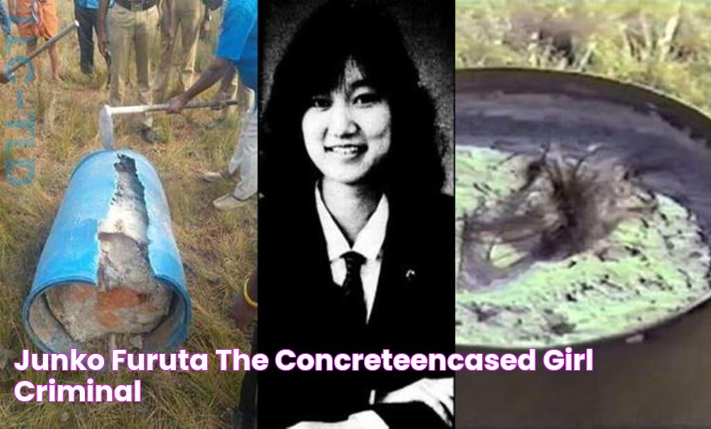 Junko Furuta The ConcreteEncased Girl Criminal