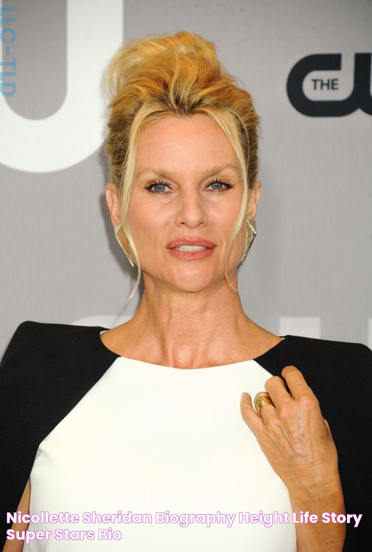 Nicollette Sheridan Biography, Height & Life Story Super Stars Bio