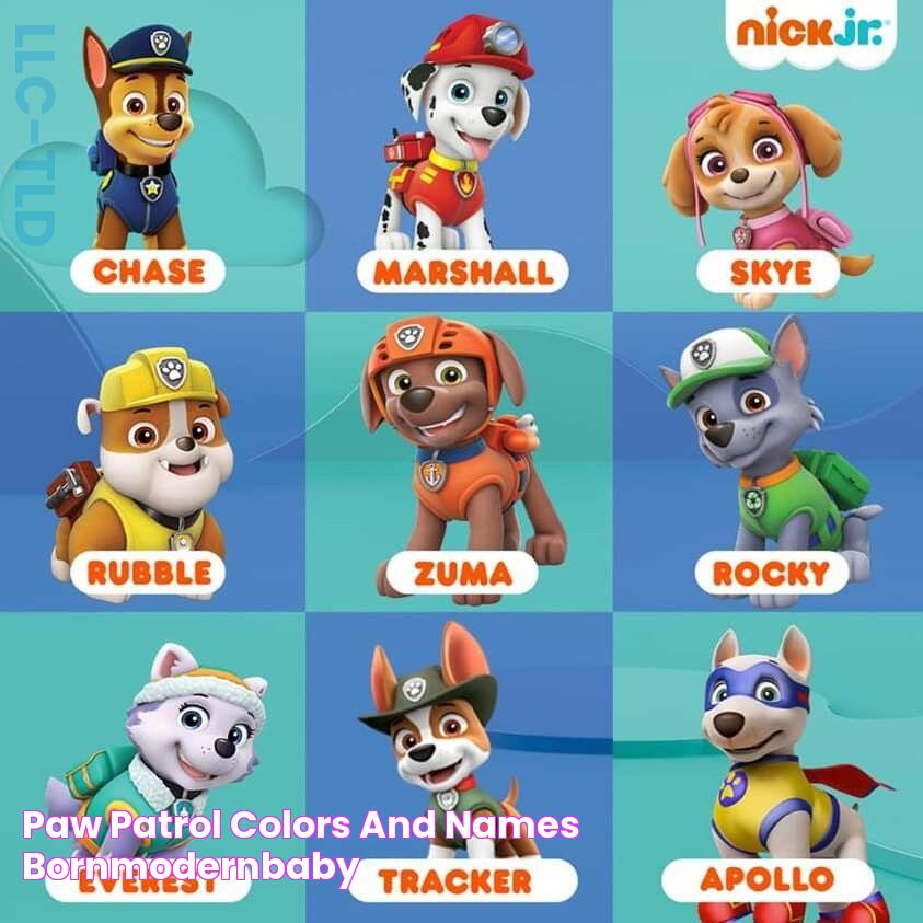 Paw Patrol Colors And Names Bornmodernbaby