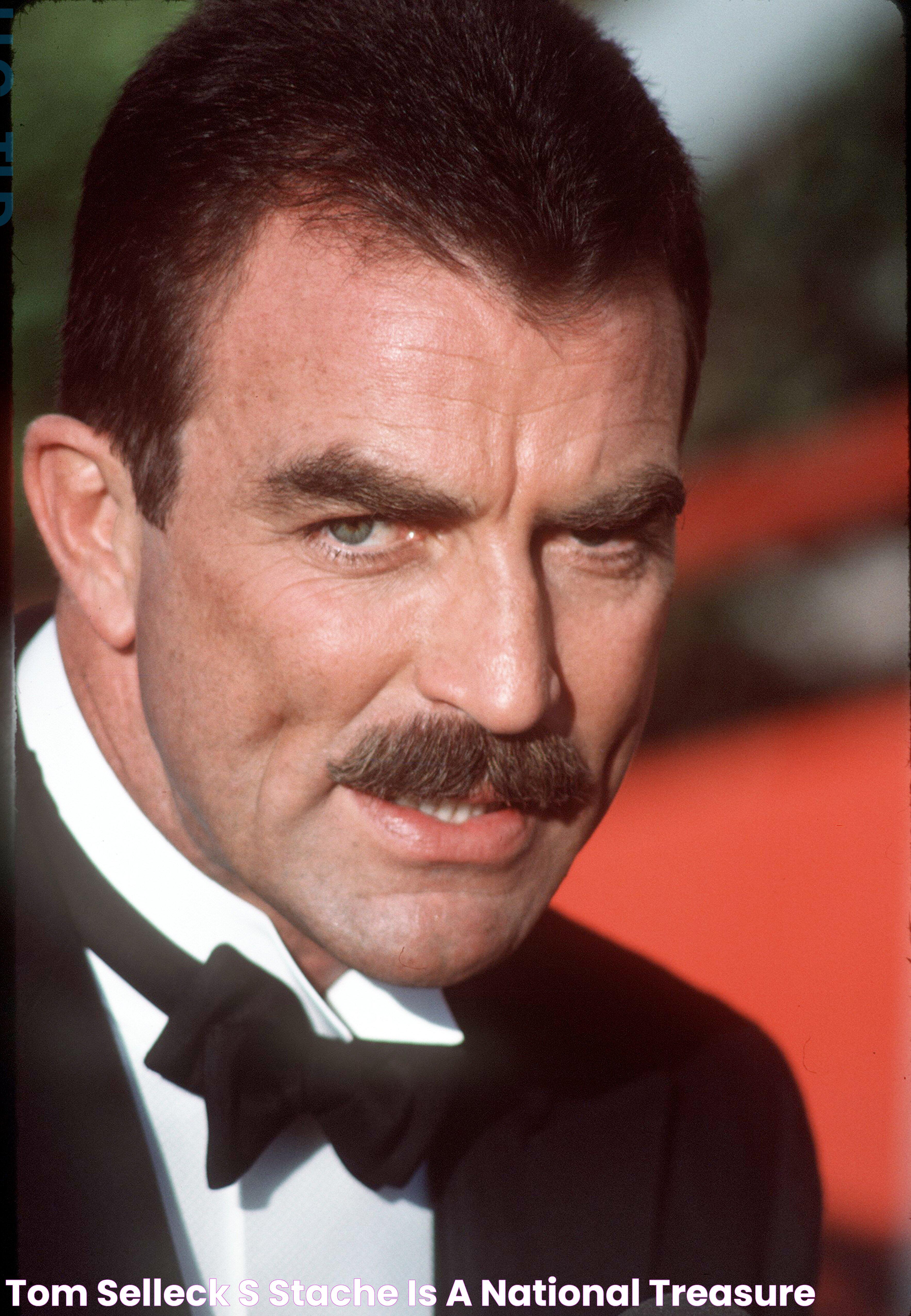 Tom Selleck: The Icon Of Mustache And Magnum, P.I.