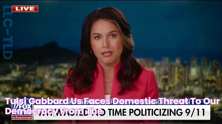 Tulsi Gabbard US faces 'domestic threat to our democracy' from the