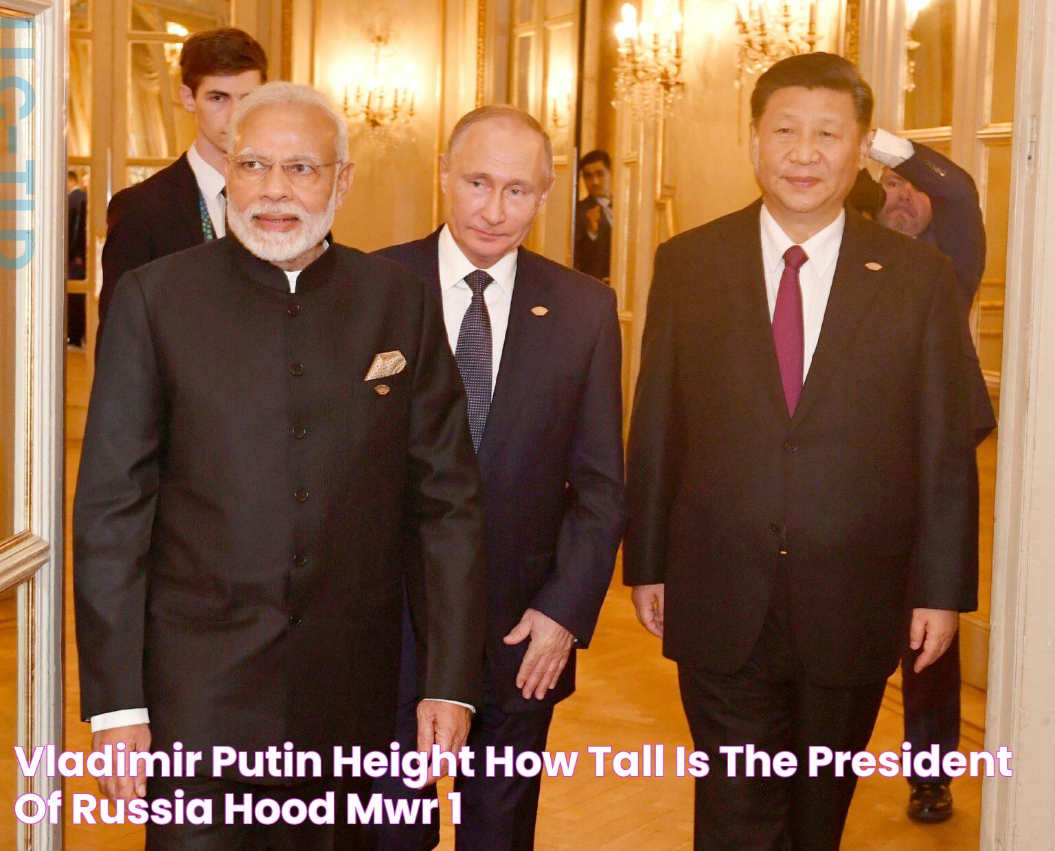 Vladimir Putin Height How Tall is The President of Russia? Hood MWR