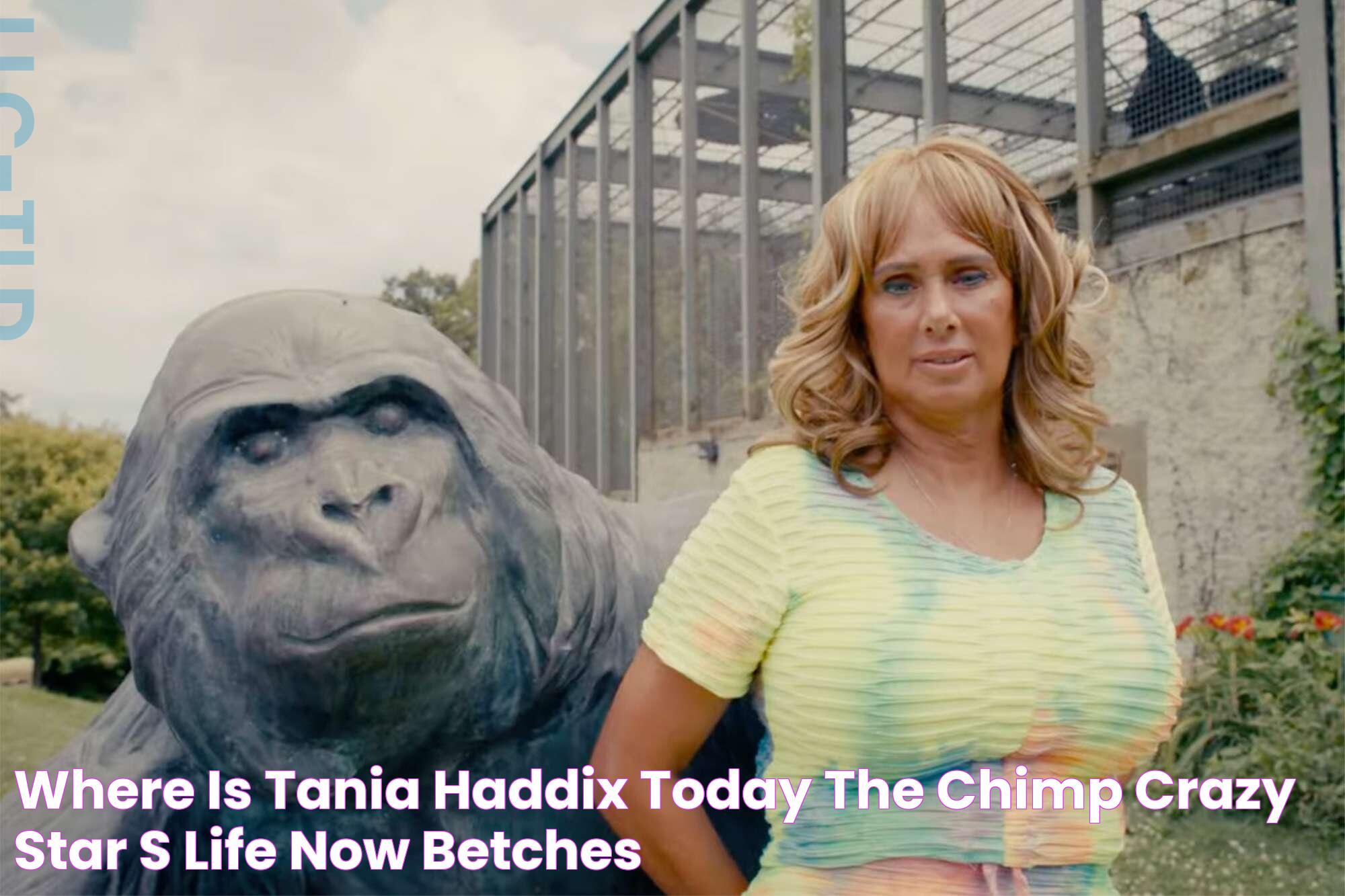 Where is Tania Haddix Today? The 'Chimp Crazy' Star’s Life Now Betches